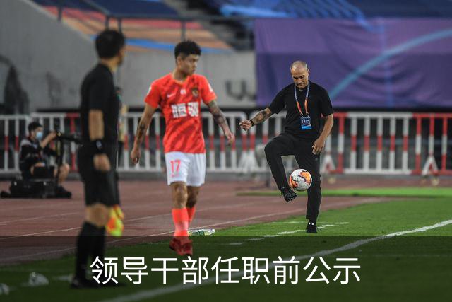 领导干部任职前公示